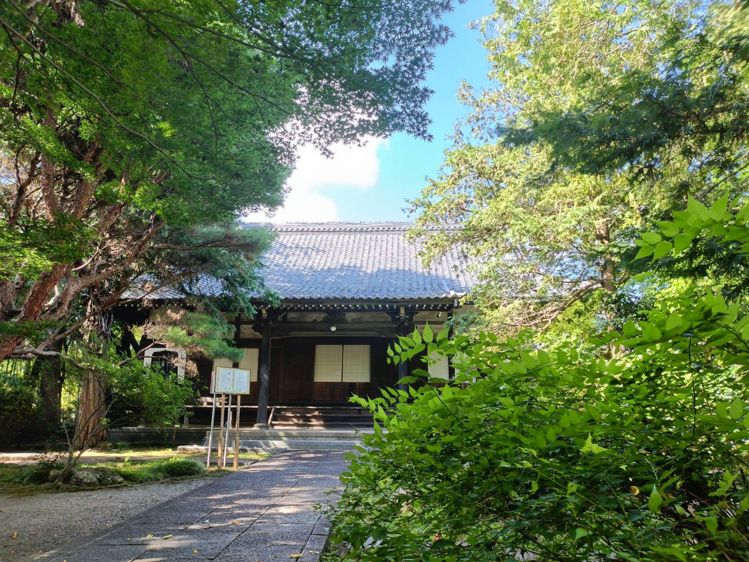 桜の咲く三光院の山門