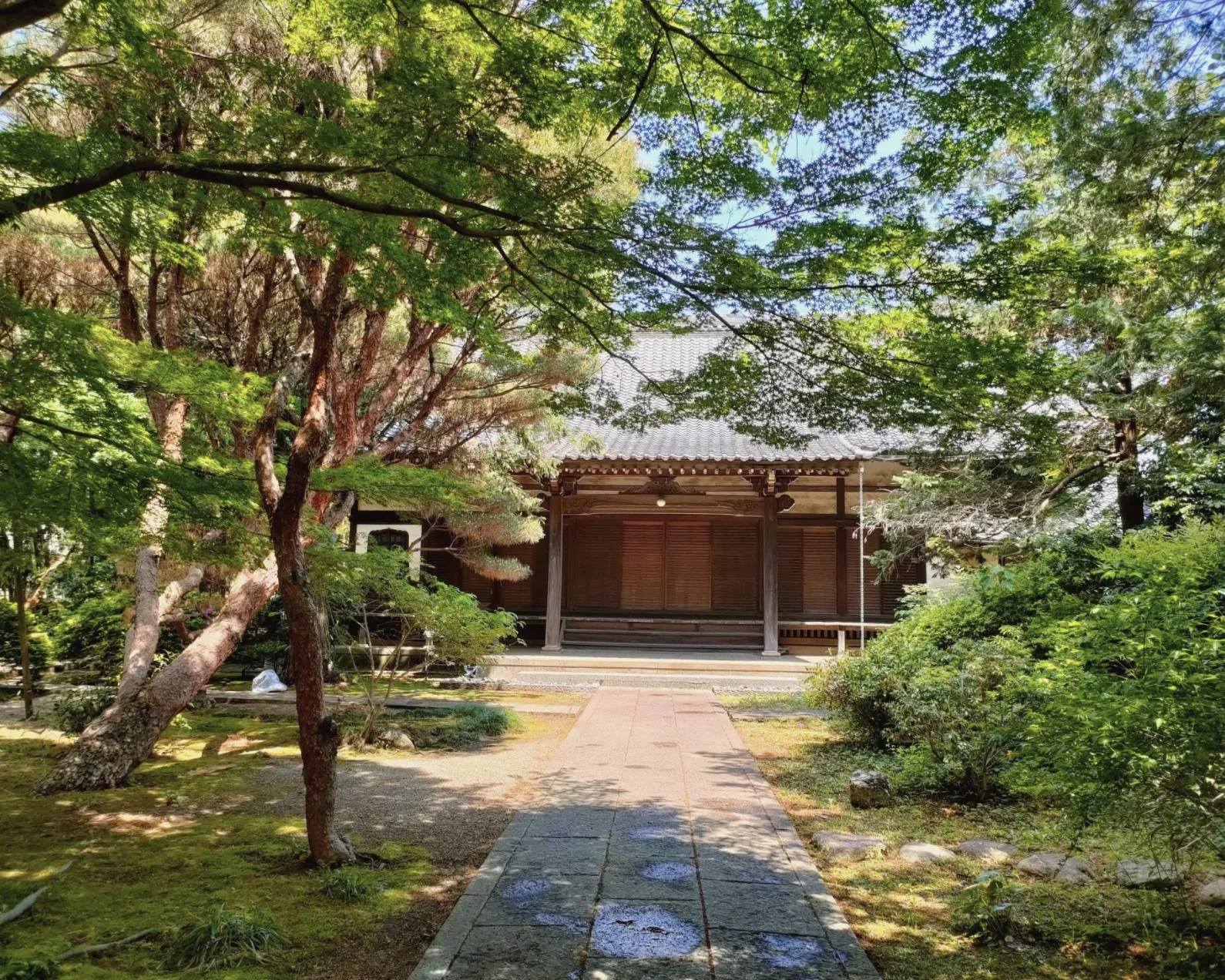 緑に包まれた三光院の庭
