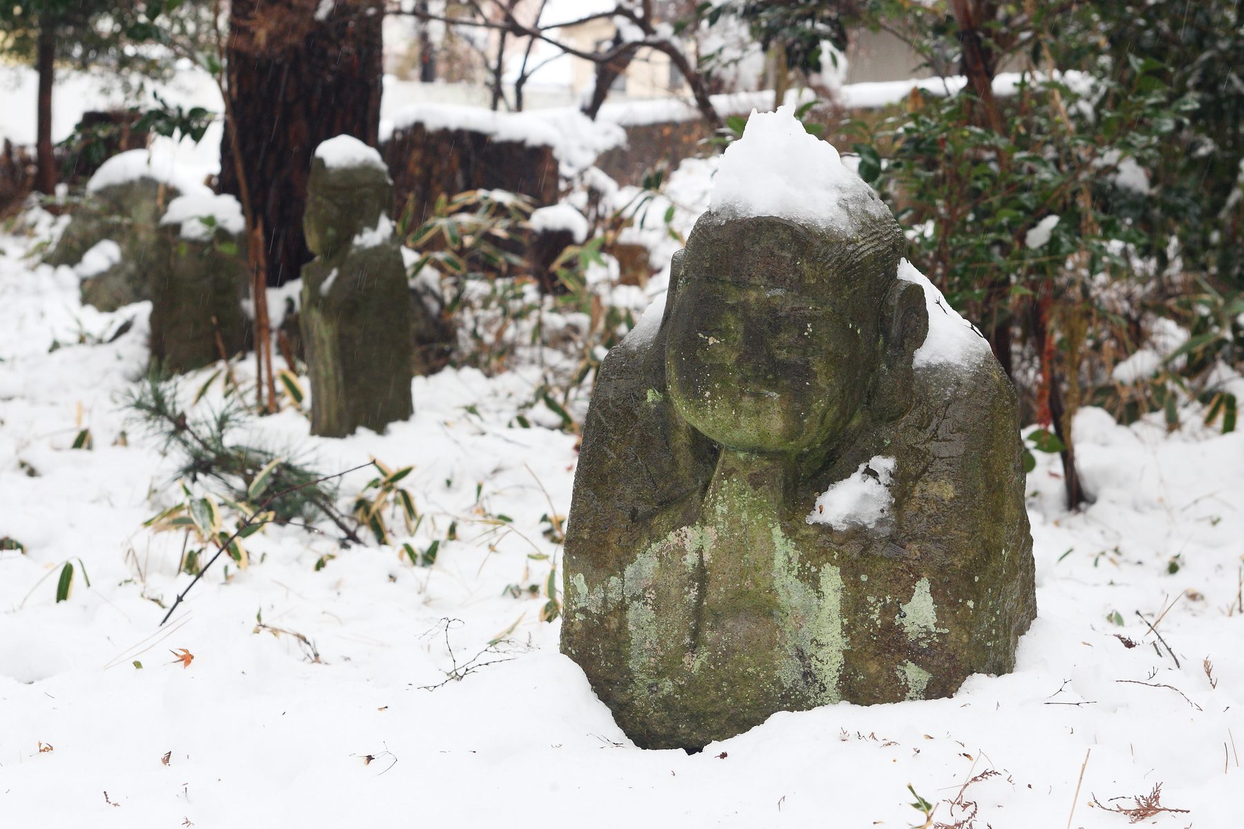 雪に包まれた三光院の石仏